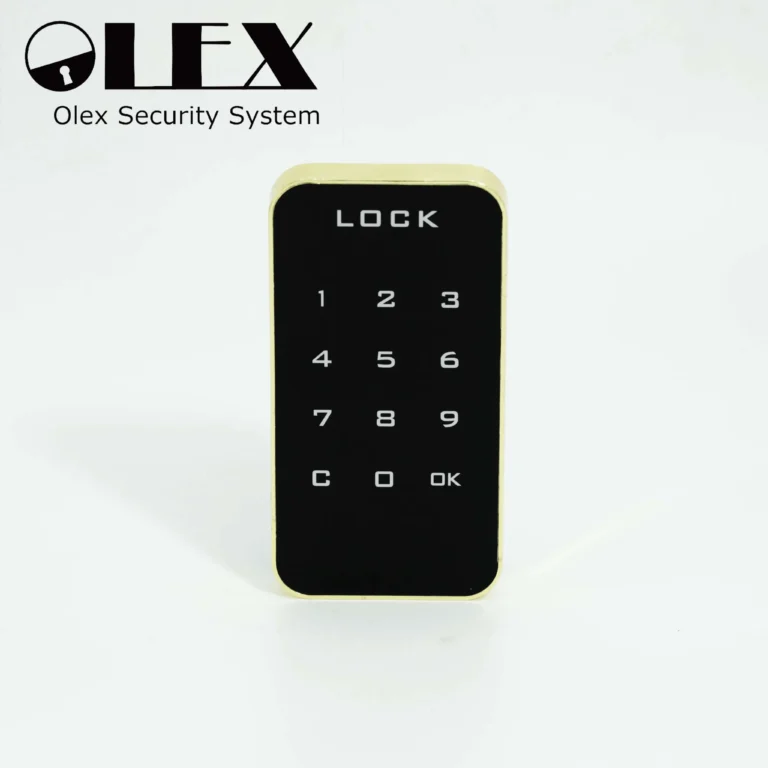 Convenience and Security Password Lock MSL-001