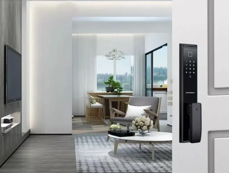 Trend of China's smart door lock industry In 2024